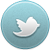 Follow us on Twitter
